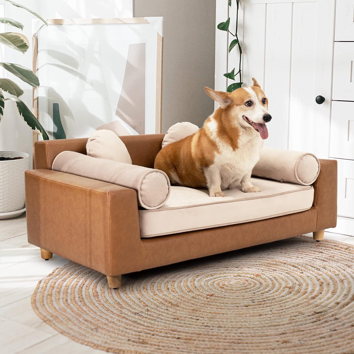 dCee 42-Inch Pet Sofa Bed