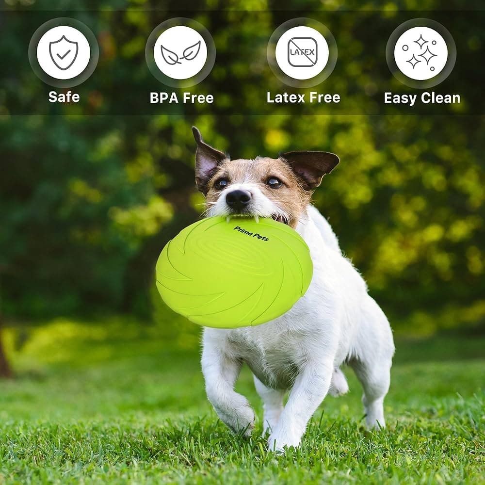 Floating Dog Frisbee