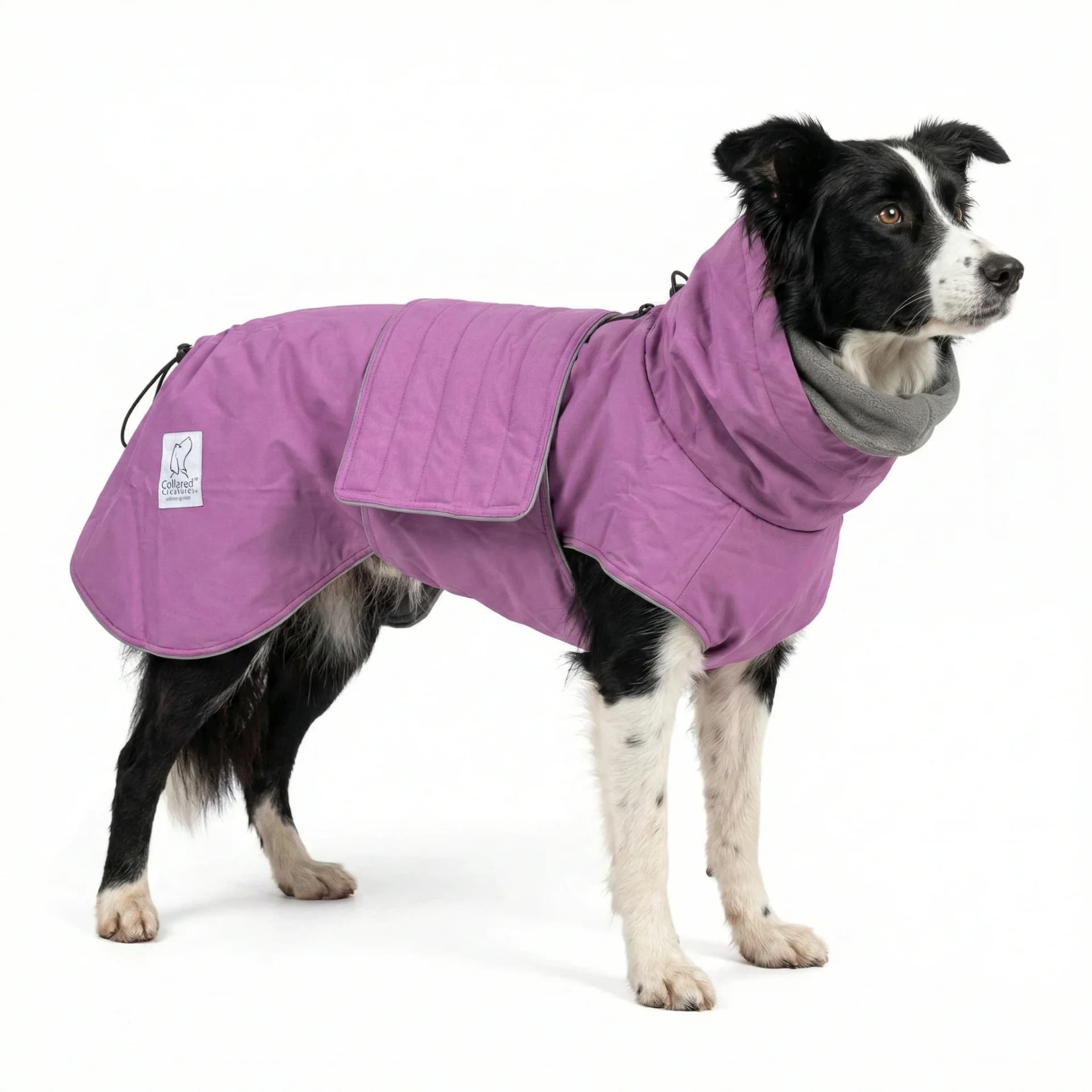 Dog Rain Jacket