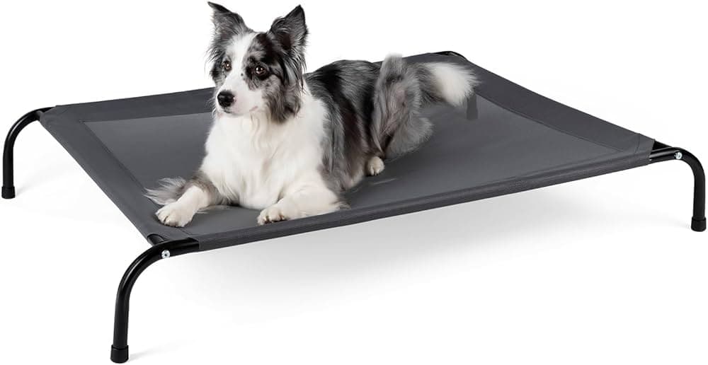 Elevated Mesh Dog Cot