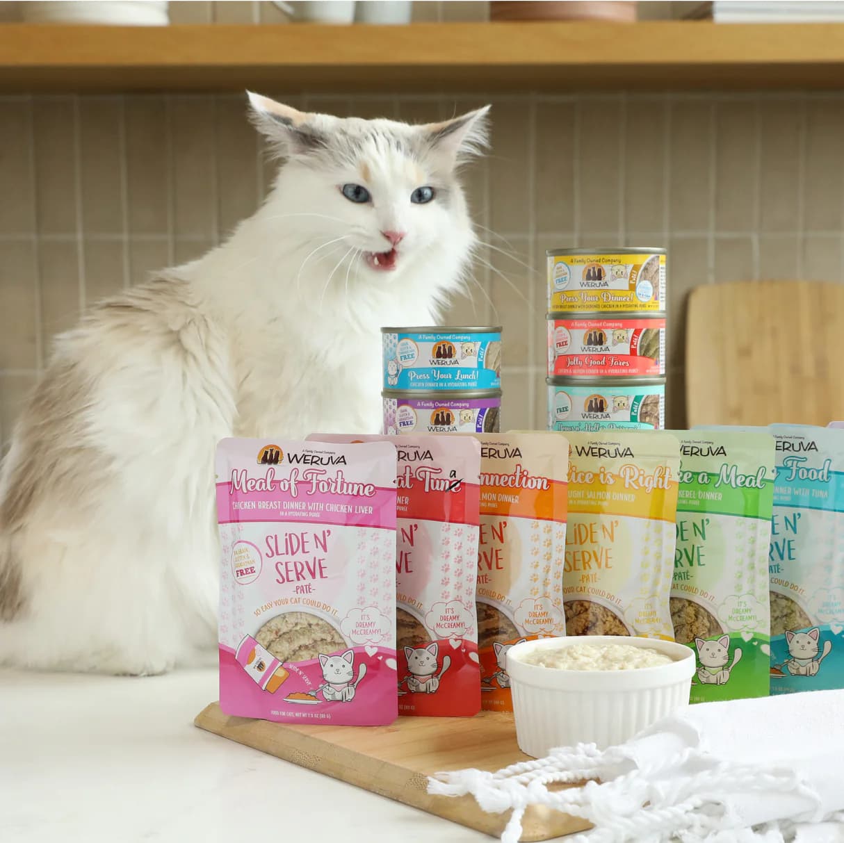 Wet Cat Food Variety Pack