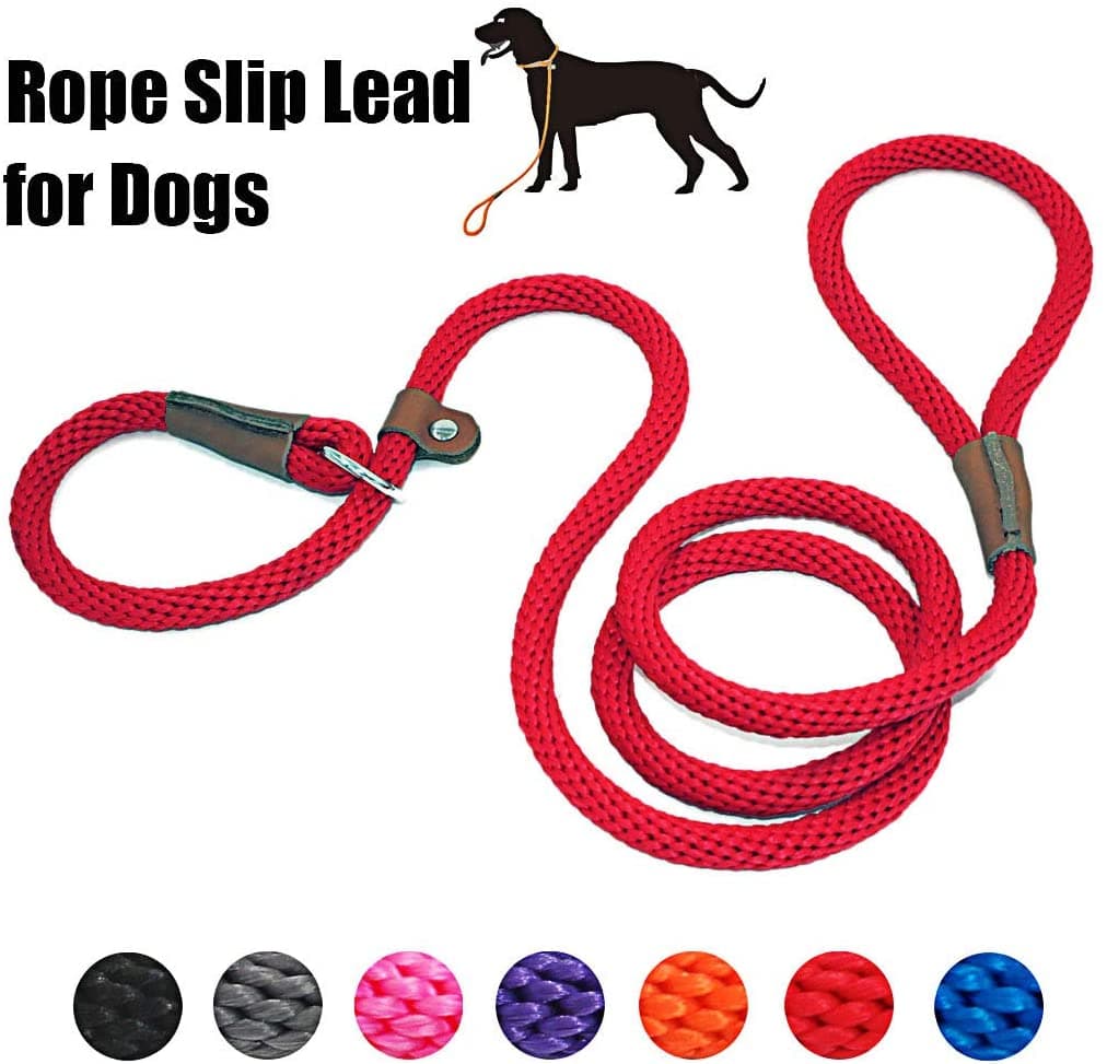 Slip Lead Rope Leash
