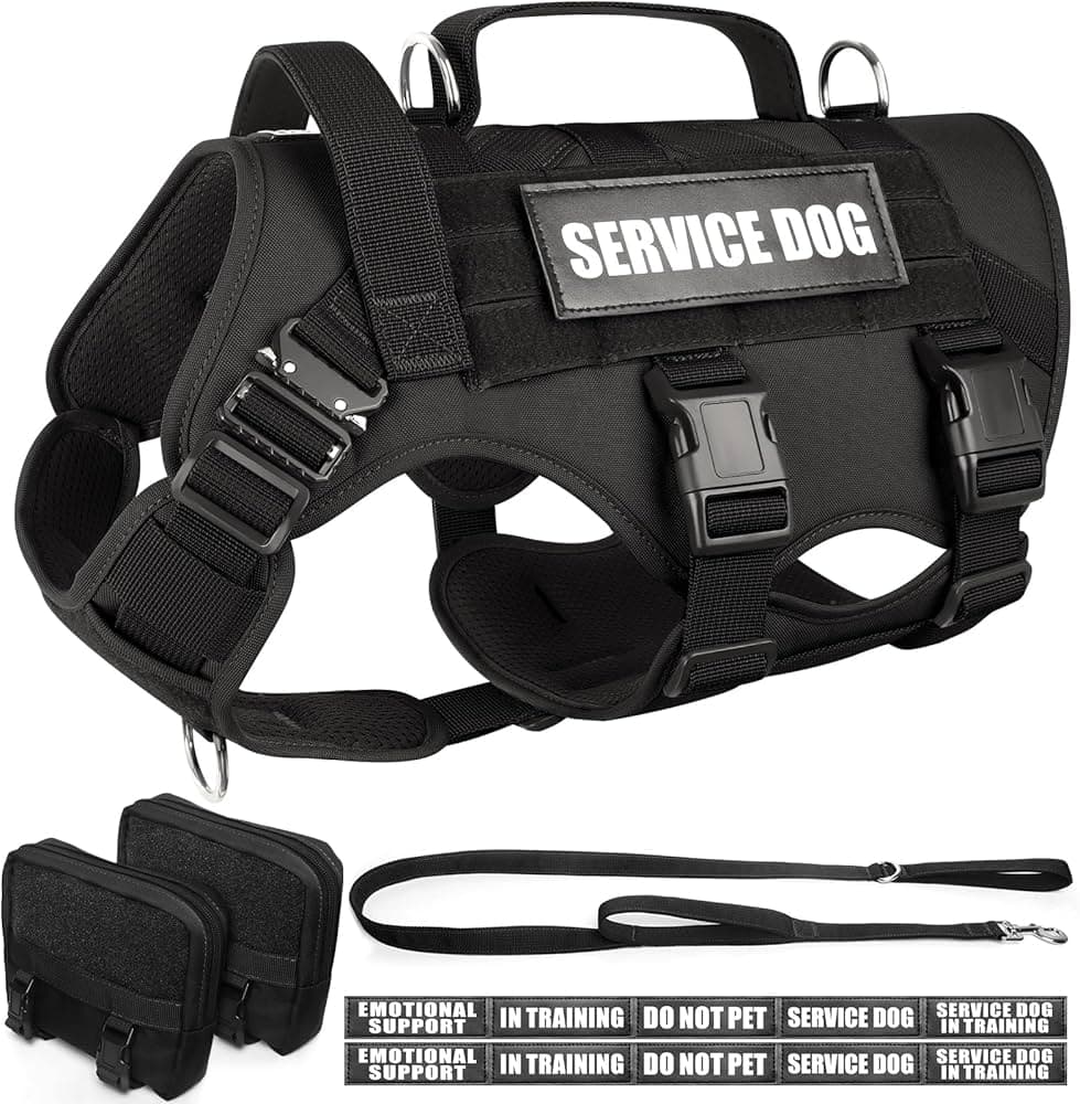 Dog Harness with MOLLE Panels