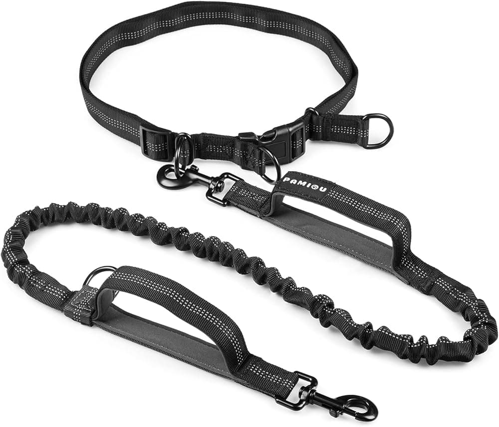 Hands-Free Running Leash