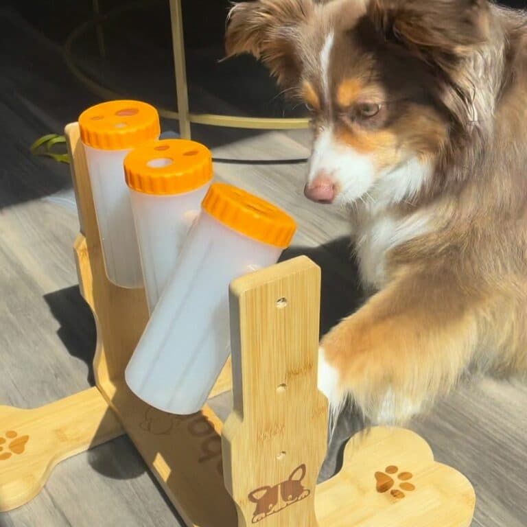 Interactive Puzzle Feeder Toy