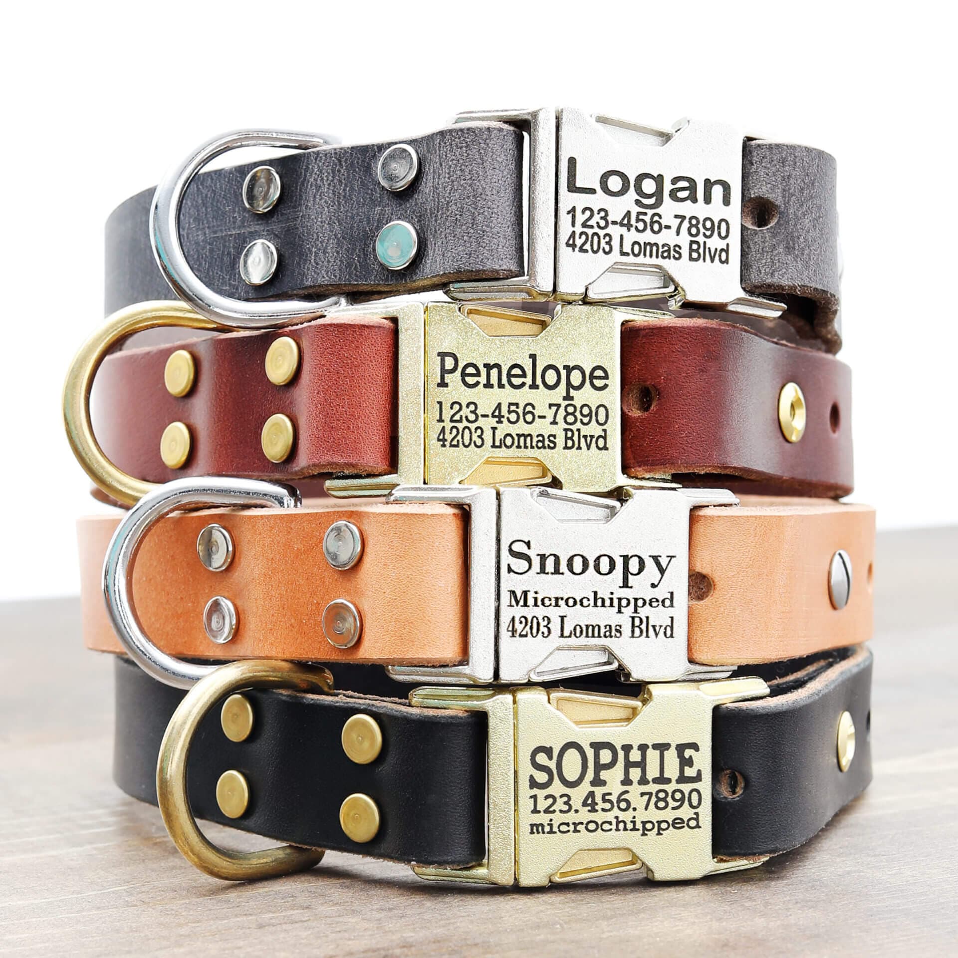 Leather Dog Collar with Nameplate