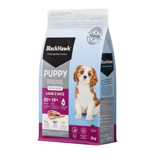 Puppy Starter Lamb & Rice