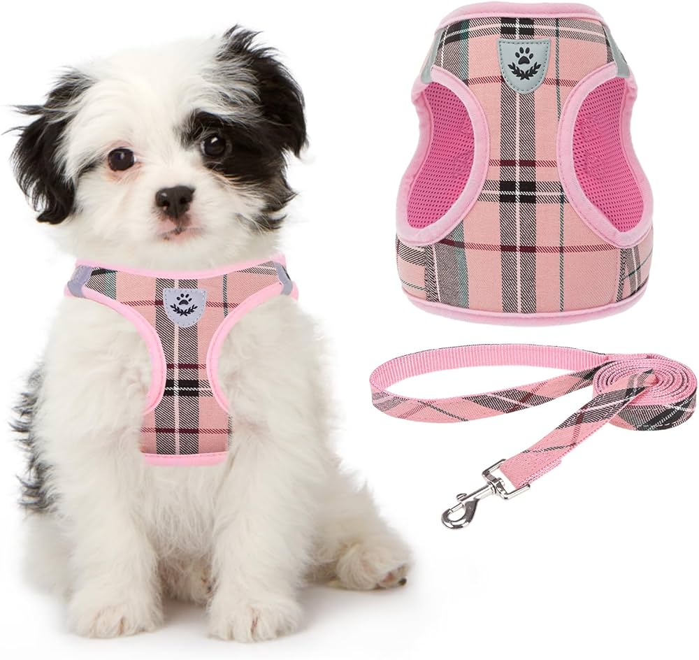 Adjustable No-Pull Dog Harness thumbnail 6