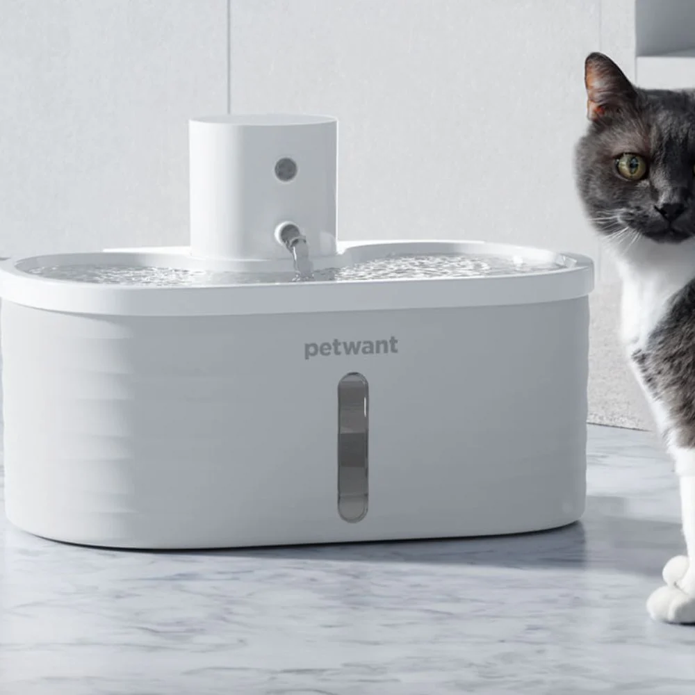 Automatic Pet Water Fountain thumbnail 4
