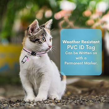 Breakaway Cat Collar with Bell thumbnail 4