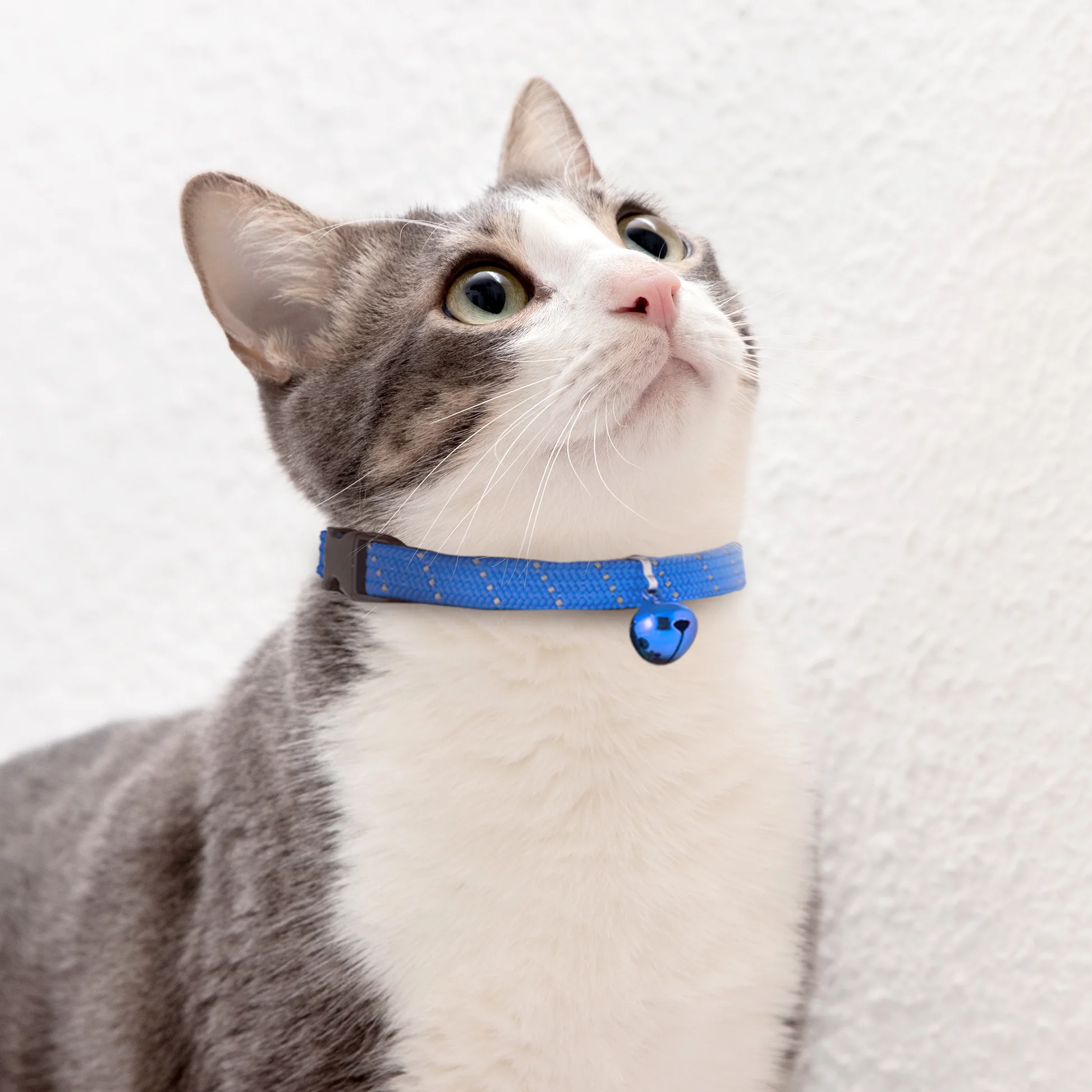 Breakaway Cat Collar with Bell thumbnail 5