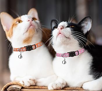 Breakaway Cat Collar with Bell thumbnail 7