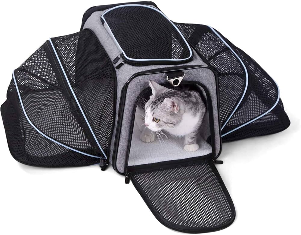 Airline-Approved Cat Carrier thumbnail 6
