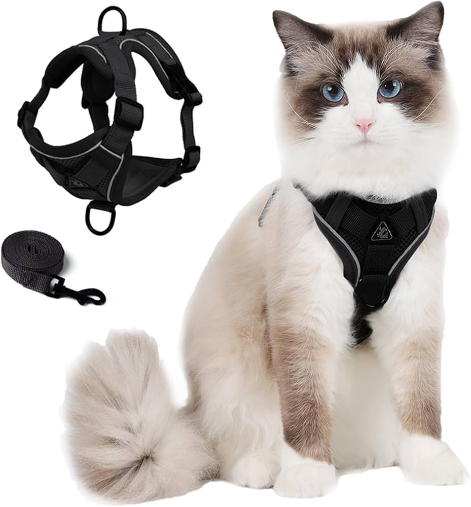 Cat Harness & Leash Set thumbnail 2