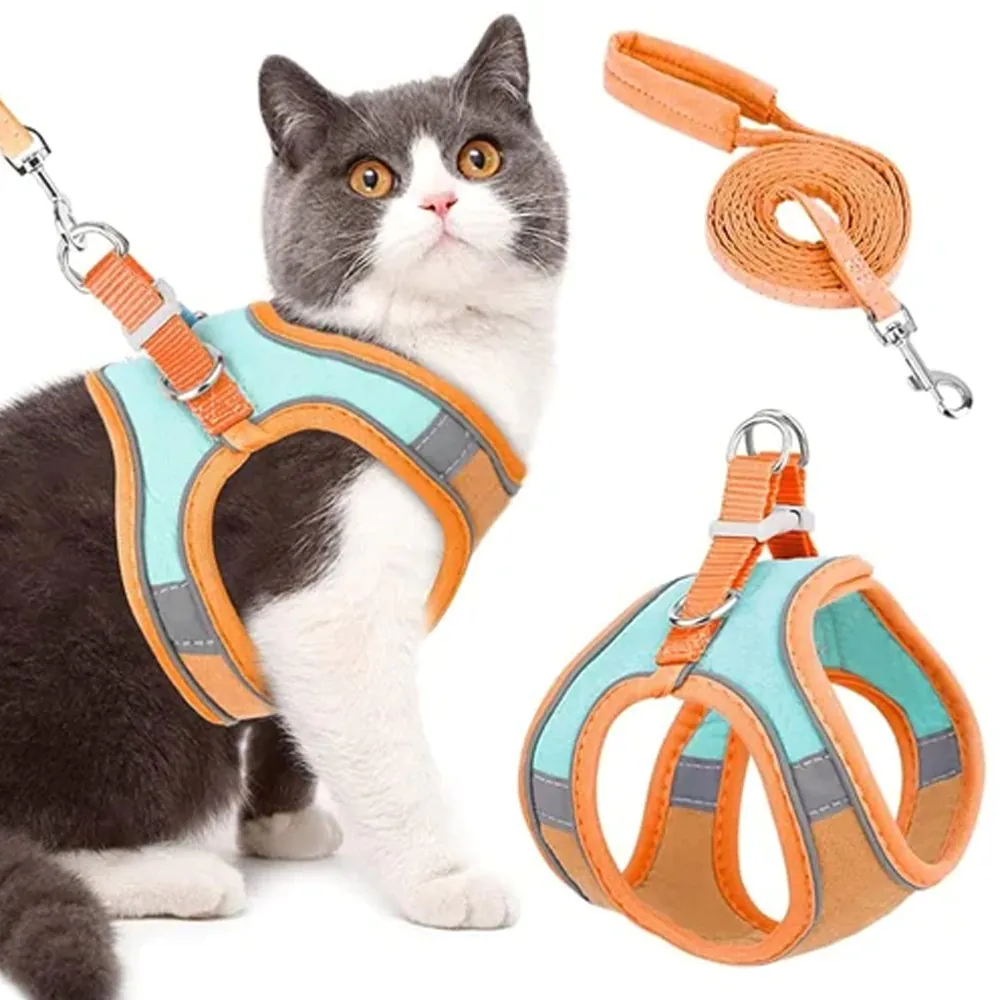 Cat Harness & Leash Set thumbnail 3