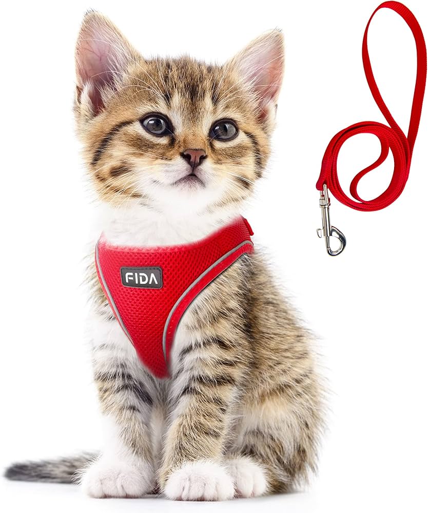 Cat Harness & Leash Set thumbnail 5
