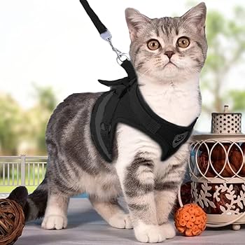 Cat Harness & Leash Set thumbnail 7