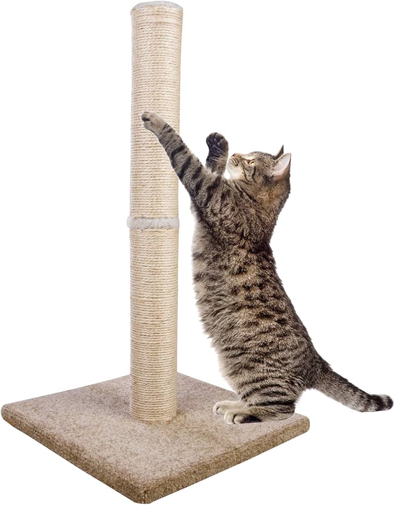 Sisal Cat Scratching Post thumbnail 3