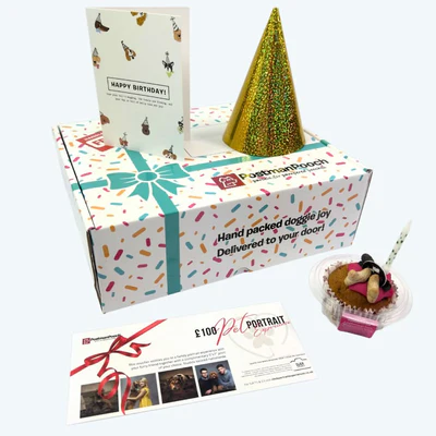 Dog Birthday Treat Box thumbnail 6