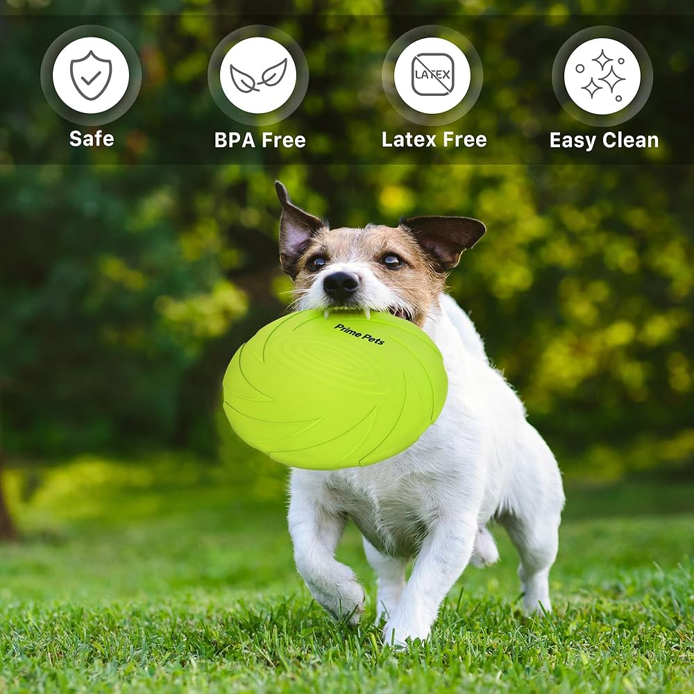 Floating Dog Frisbee