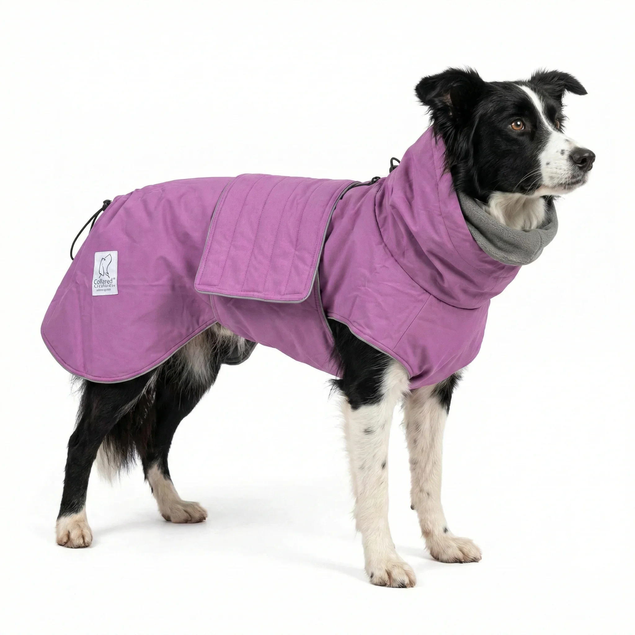 Waterproof Dog Rain Jacket thumbnail 2