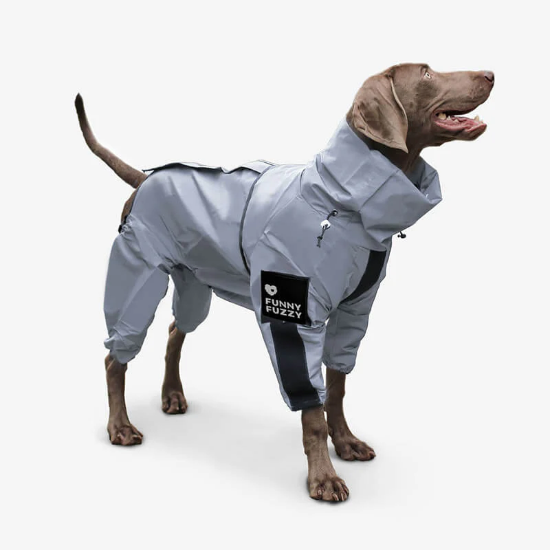 Waterproof Dog Rain Jacket thumbnail 5