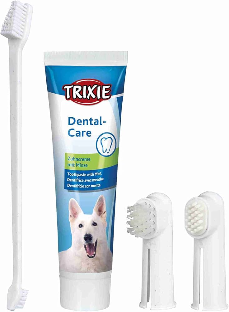 Dog Toothbrush & Paste Kit thumbnail 2