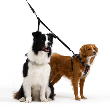 Double Dog Leash Coupler thumbnail 7