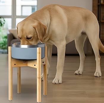 Elevated Dog Bowl Stand thumbnail 6