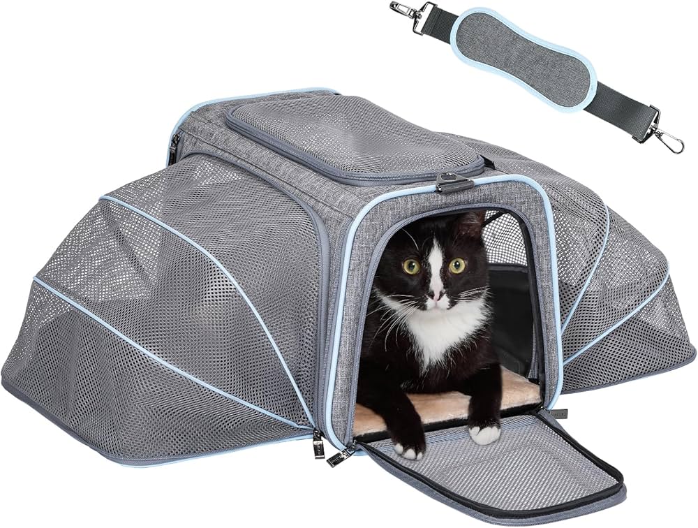 Expandable Airline Pet Carrier thumbnail 7