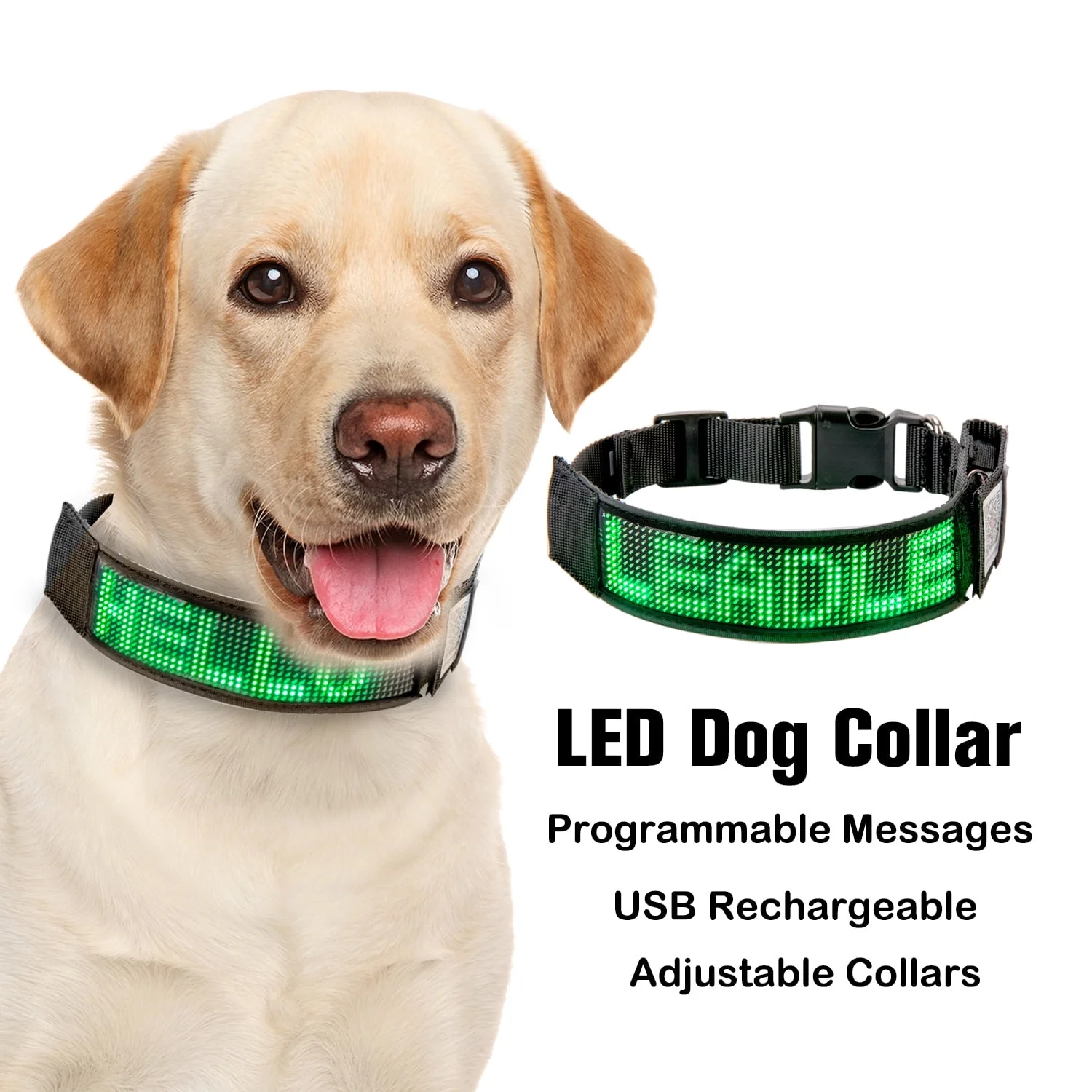 LED Light-Up Dog Collar thumbnail 3