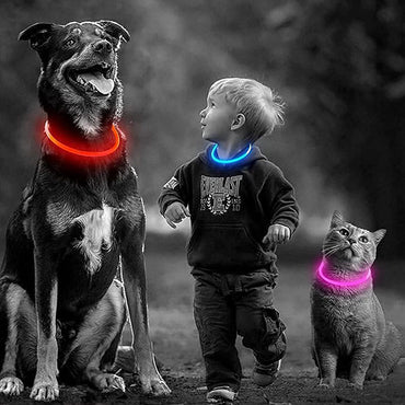 LED Light-Up Dog Collar thumbnail 5