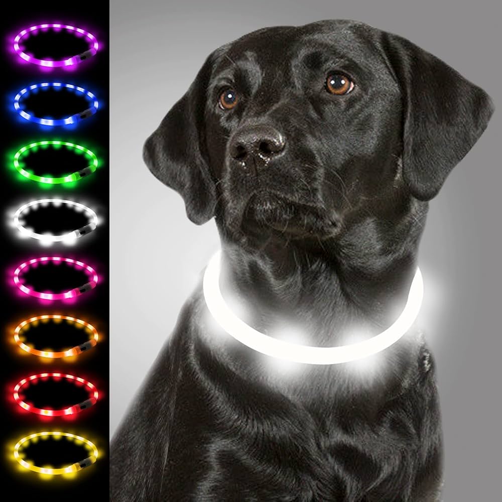 LED Light-Up Dog Collar thumbnail 8