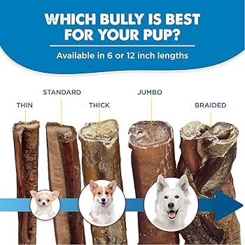 Natural Bully Sticks – 6 Inch thumbnail 7