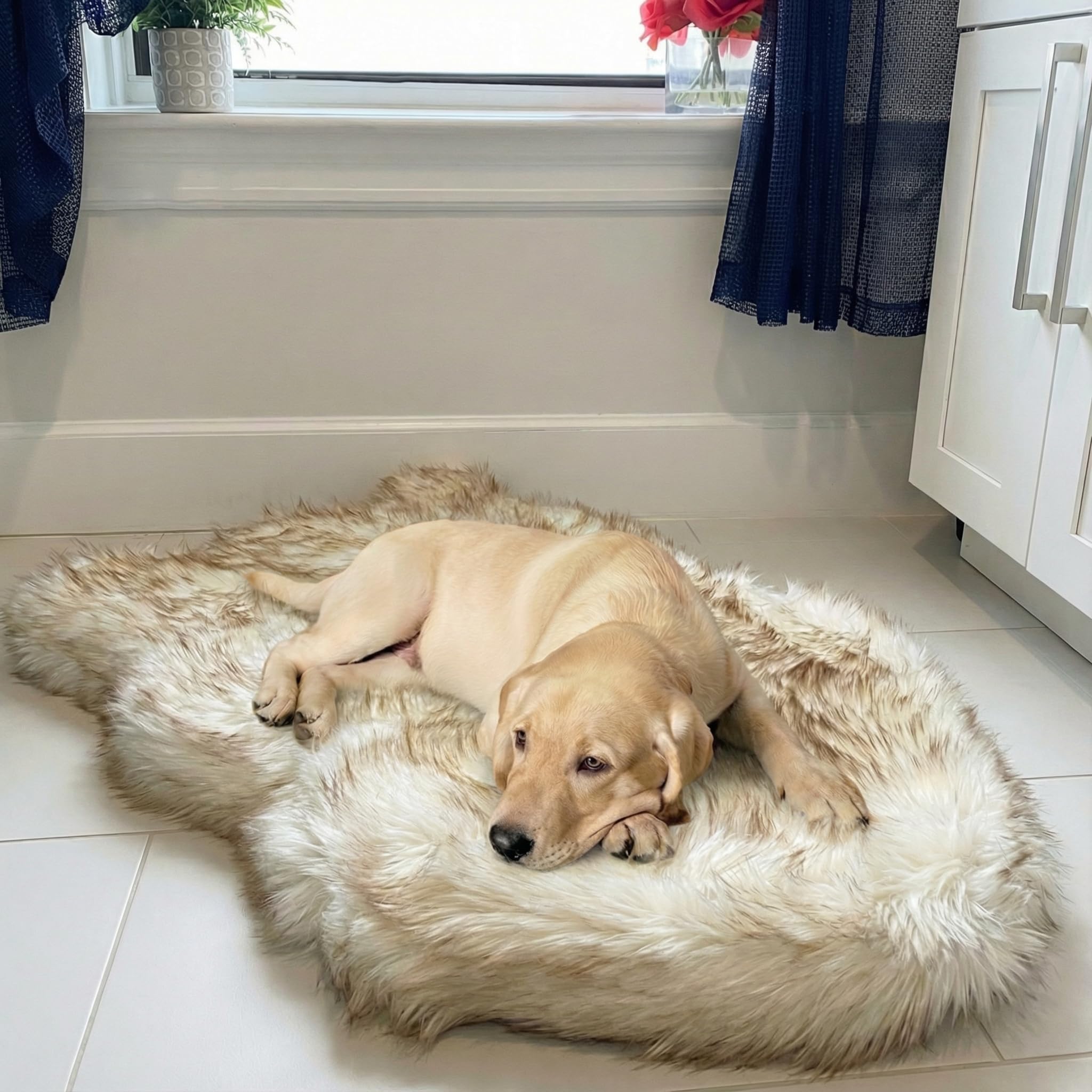 Orthopedic Memory Foam Dog Bed