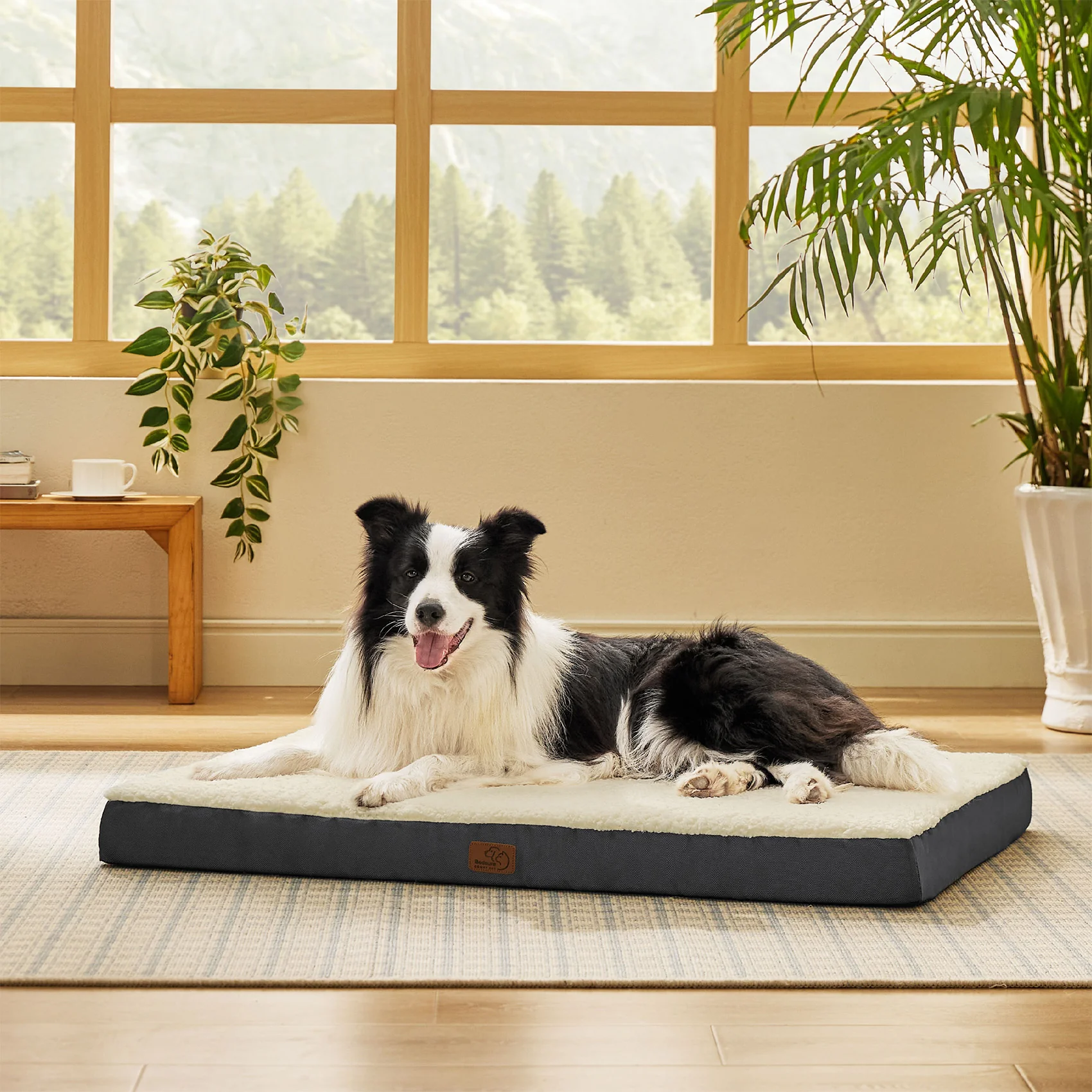 Orthopedic Memory Foam Dog Bed thumbnail 3