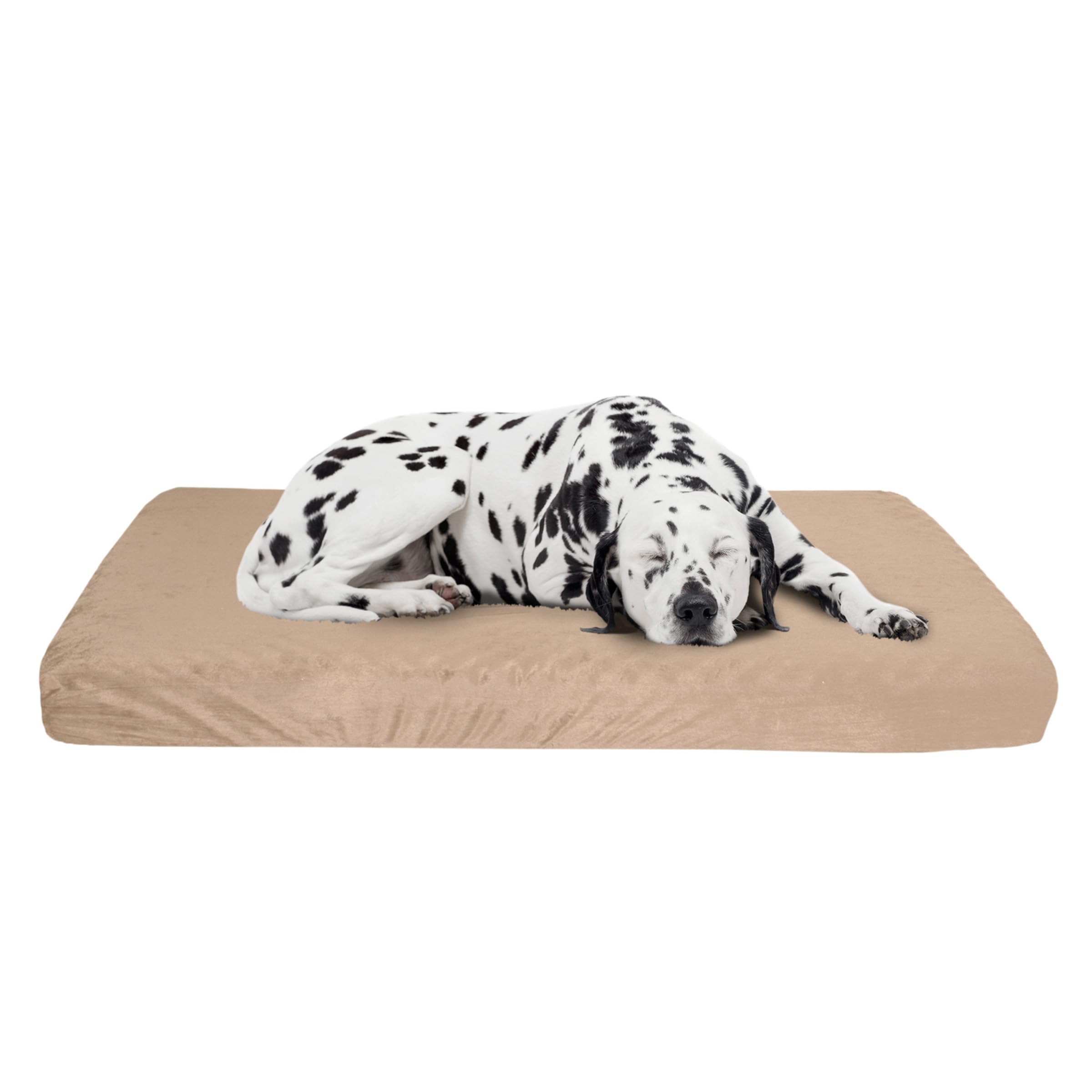 Orthopedic Memory Foam Dog Bed thumbnail 7