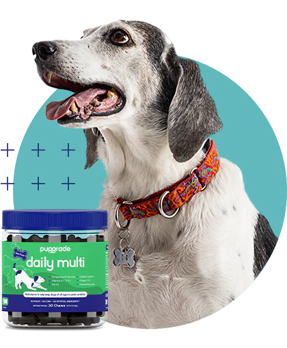 Daily Multivitamin for Dogs thumbnail 6