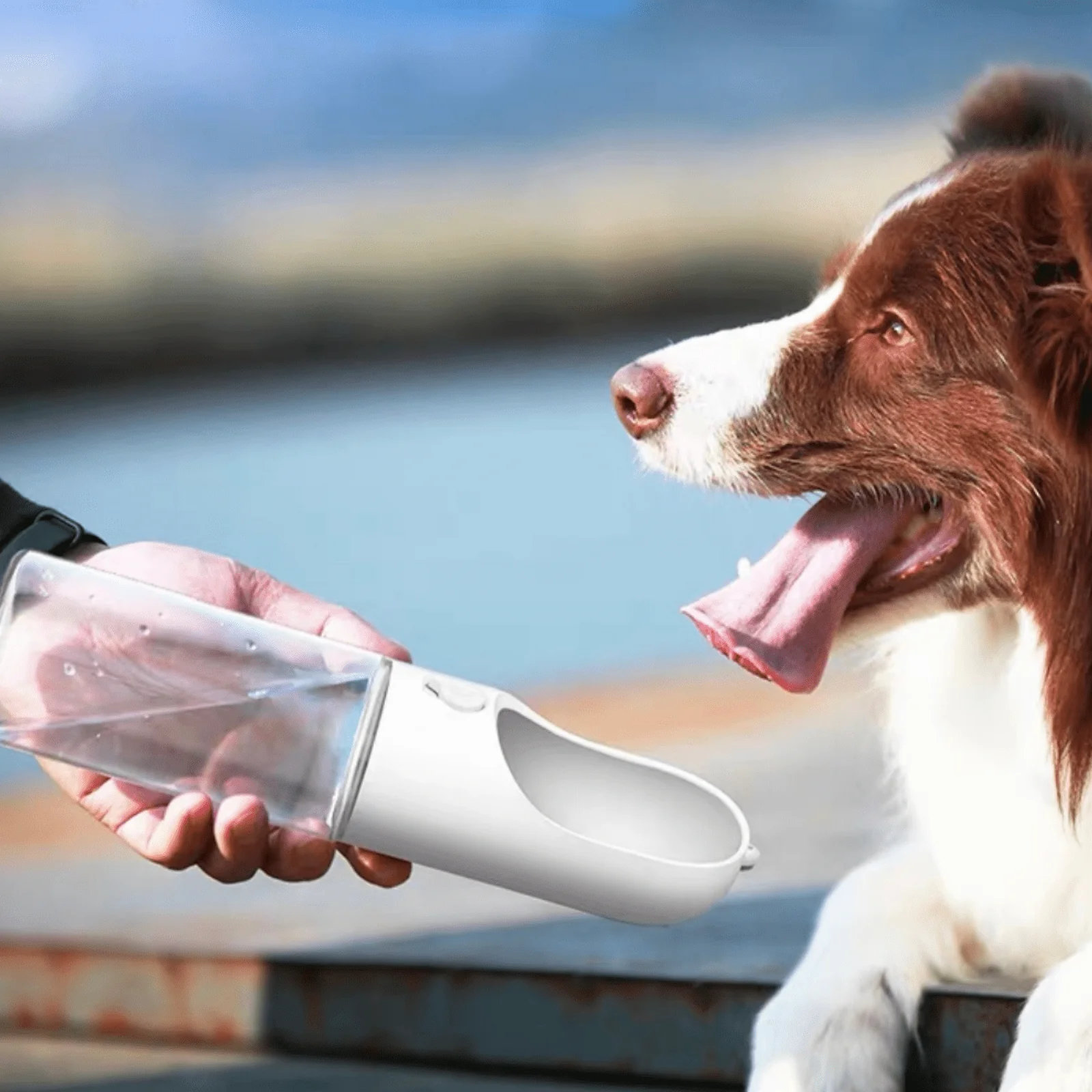 Portable Pet Water Bottle thumbnail 2