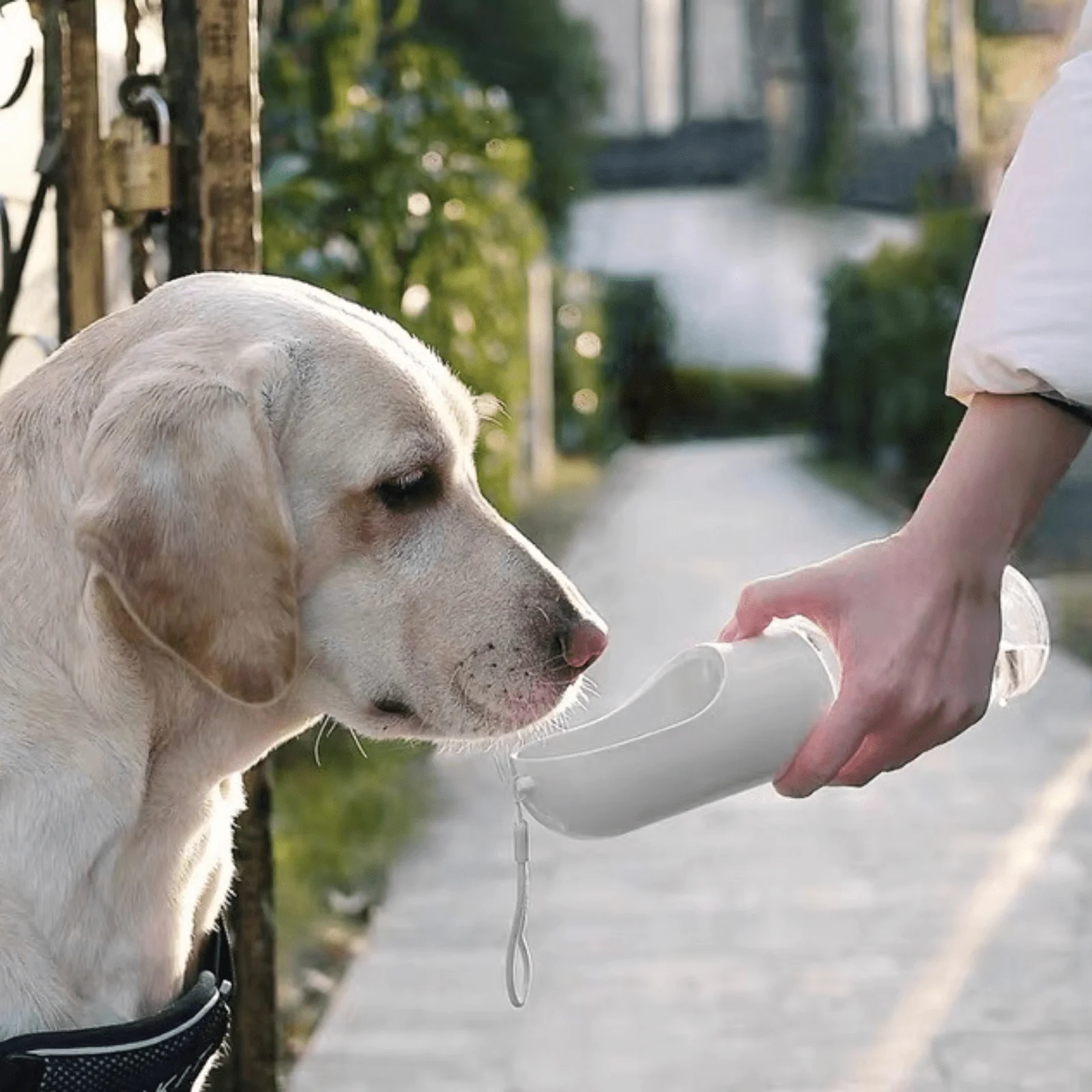 Portable Pet Water Bottle thumbnail 5