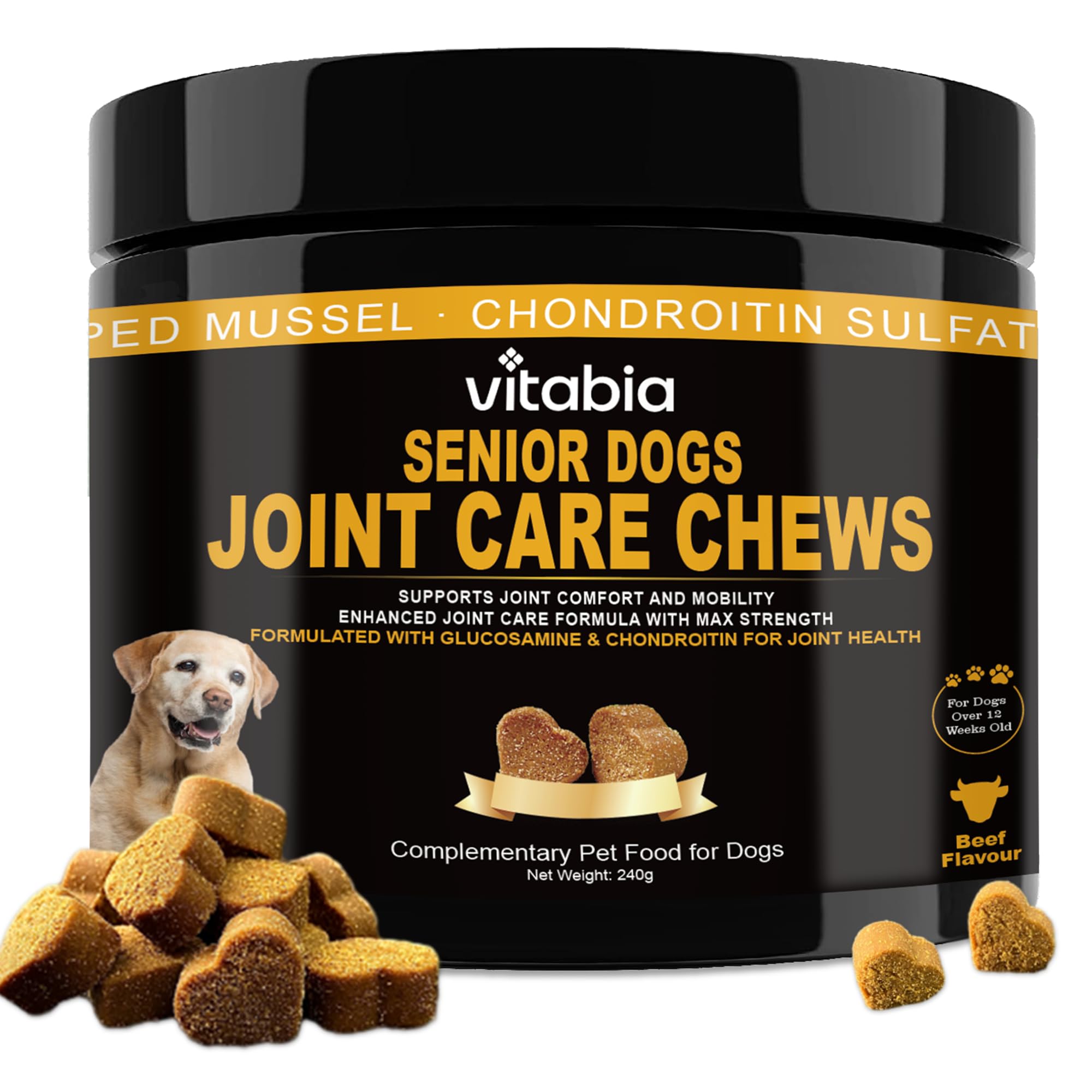 Senior Dog Food with Joint Support thumbnail 2