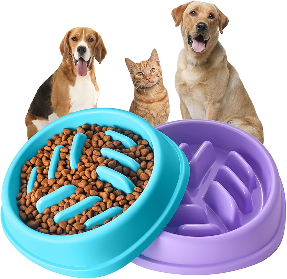 Slow Feeder Dog Bowl – Maze thumbnail 2
