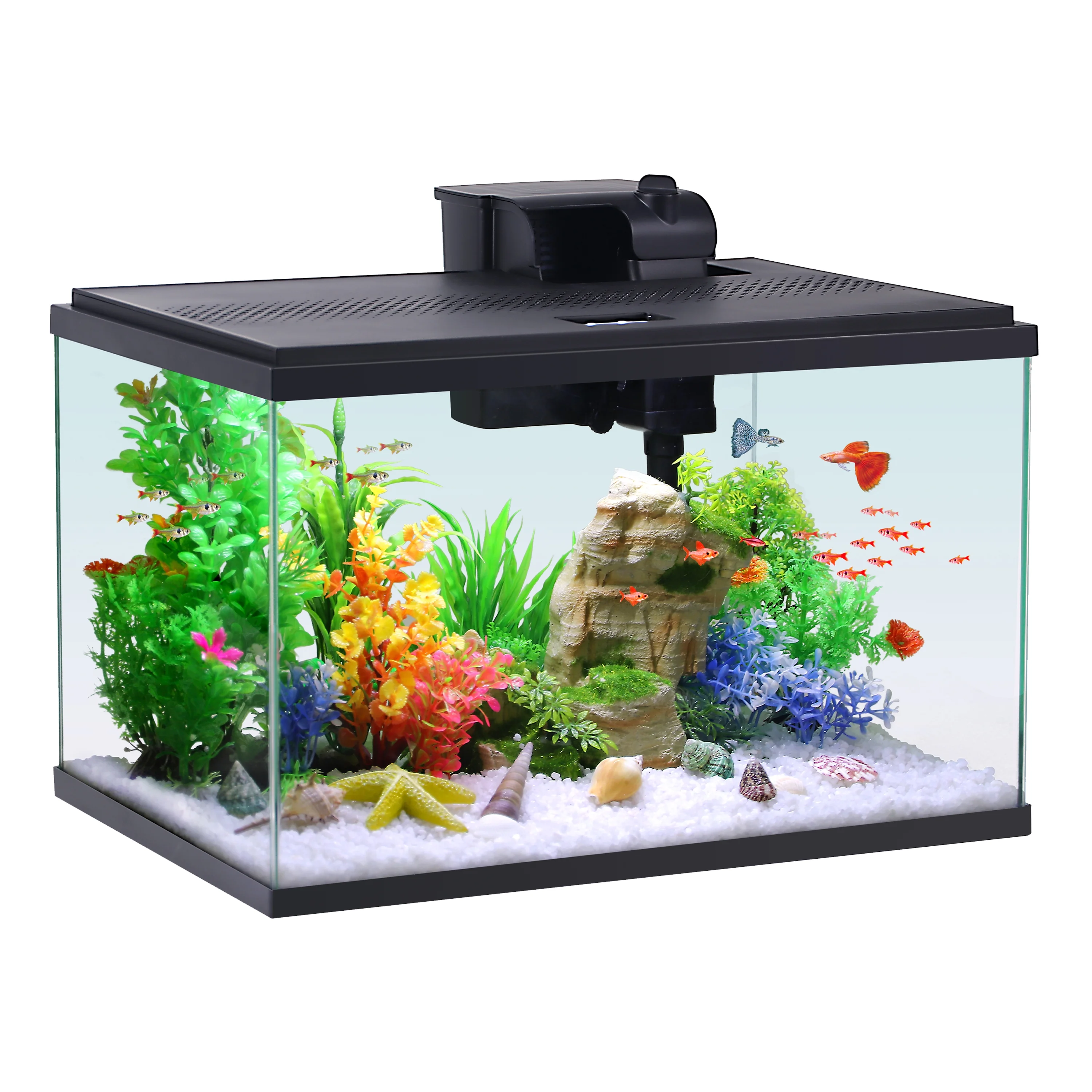 10-Gallon Starter Aquarium Kit thumbnail 2