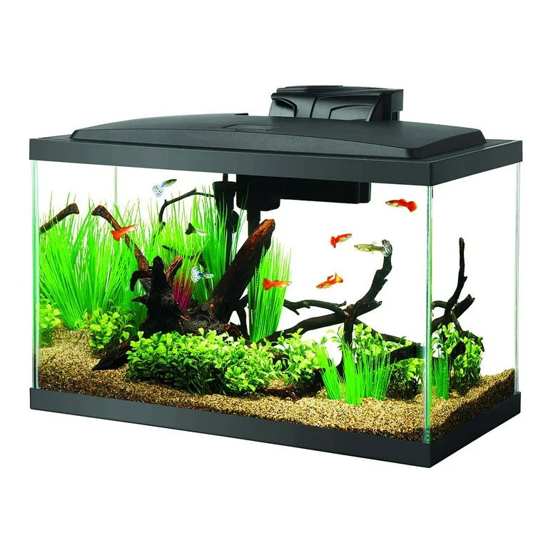 10-Gallon Starter Aquarium Kit thumbnail 4