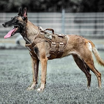 Tactical Dog Harness with MOLLE thumbnail 4